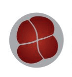 Foto de perfil de Suhlab - Matriz